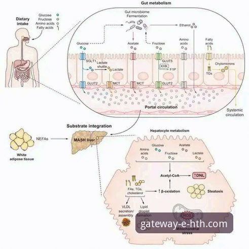 解析HTH官网入口：用户最关心的5个核心问题与深度解答